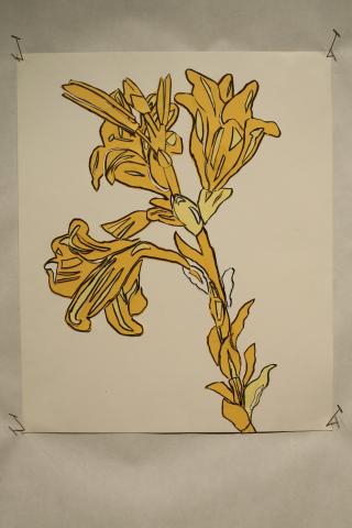 Jonathan Roach, Lilies, 2 Dimensional Design